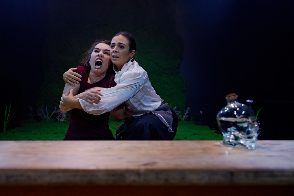 Ophelia Thinks Harder (Fingerless Theatre) |&nbsp;Review